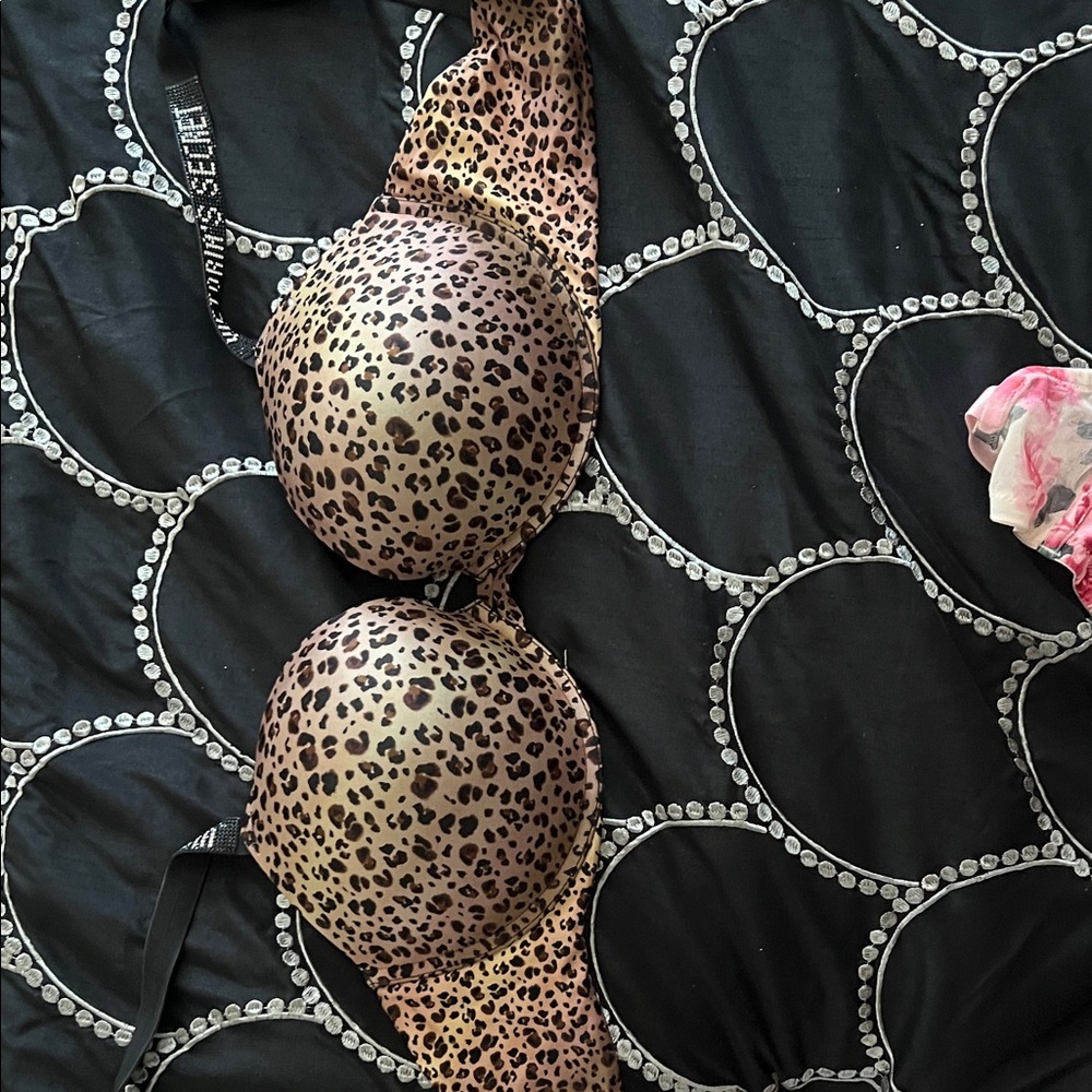 Leopard Print Bra - image 1